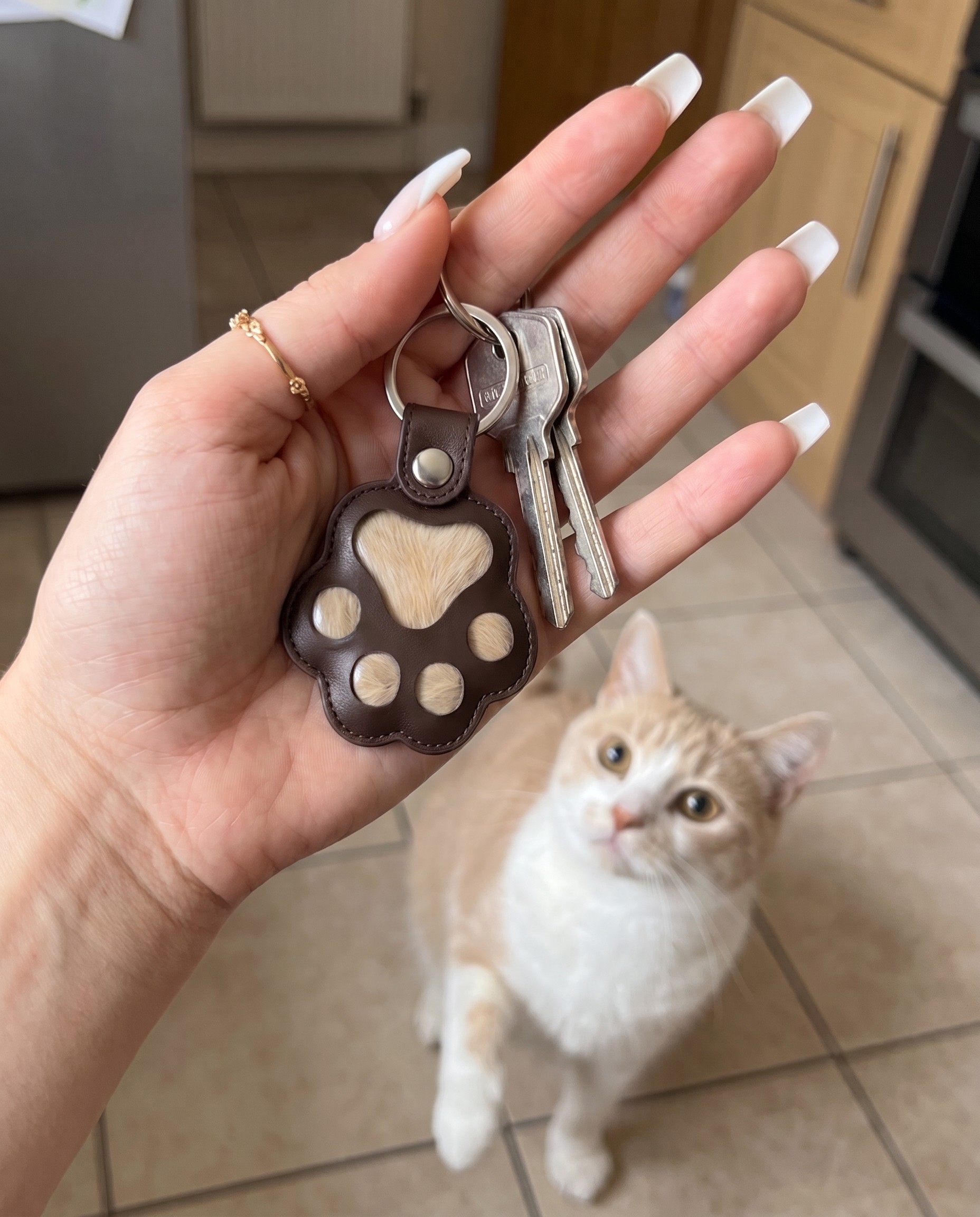Cat Pawch on kitchen keys